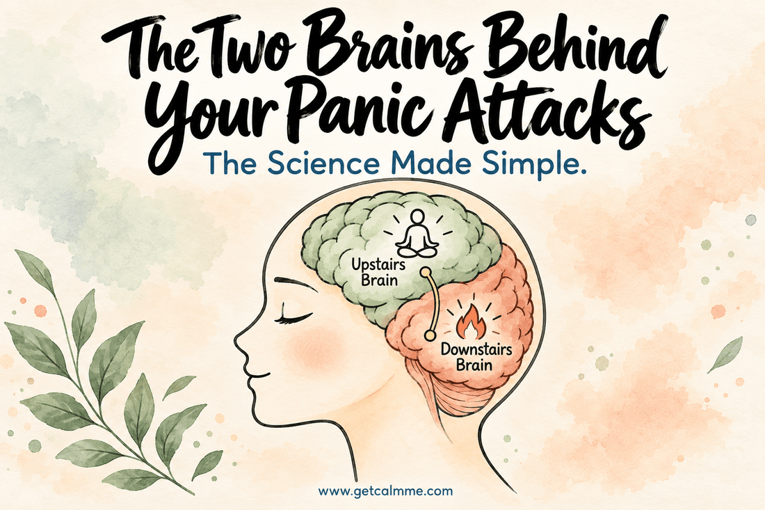 The Two Brains Behind Your Panic Attacks - calmme