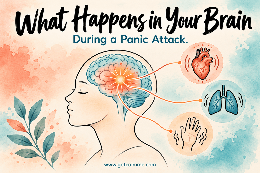 What Happens in Your Brain During a Panic Attack - calmme