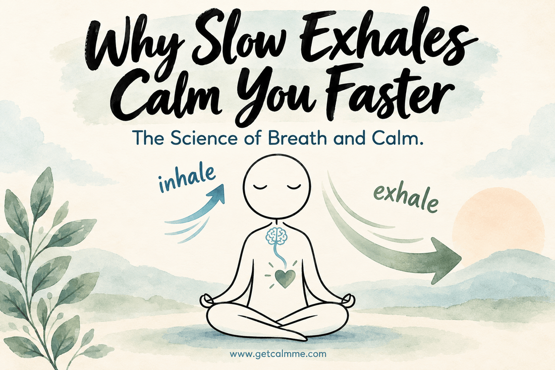 Why Slow Exhales Calm Your Nervous System Faster - calmme